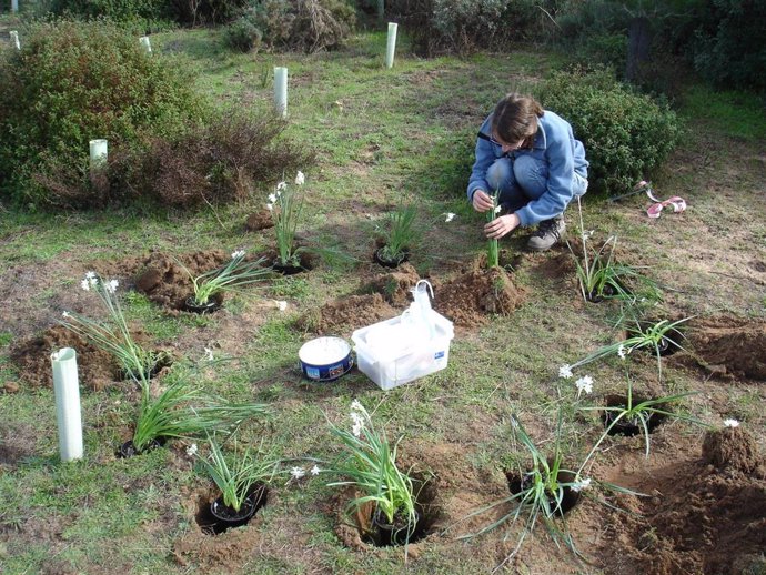 Investigadores de la Universidad de Sevilla sobre el terreno