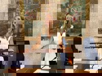 Estefanía Gonzalvo (PP) asume la alcaldía de Andratx tras prosperar la moción de censura contra Toni Mir