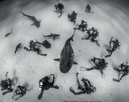 La Casa de las Ciencias acoge la exposición European Wildlife Photographer of the year 2022 que recoge lo mejor del arte de la fotografía de naturaleza en 84 imágenes