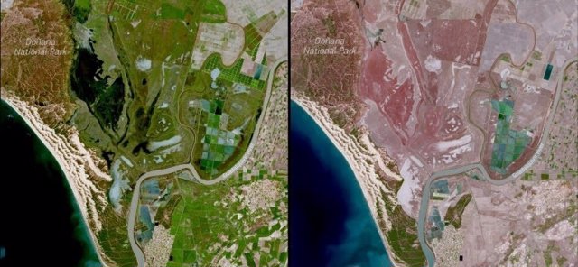 Archivo - Donana a vista de satélite, en marzo de 2021 y 2022, on el visible impacto de la sequía.