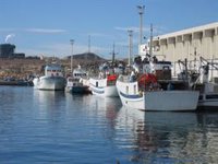 El Gobierno modifica la normativa para compensar a la flota del Mediterráneo por los días de inactividad