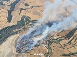 Incendi forestal a Pujalt (Barcelona)