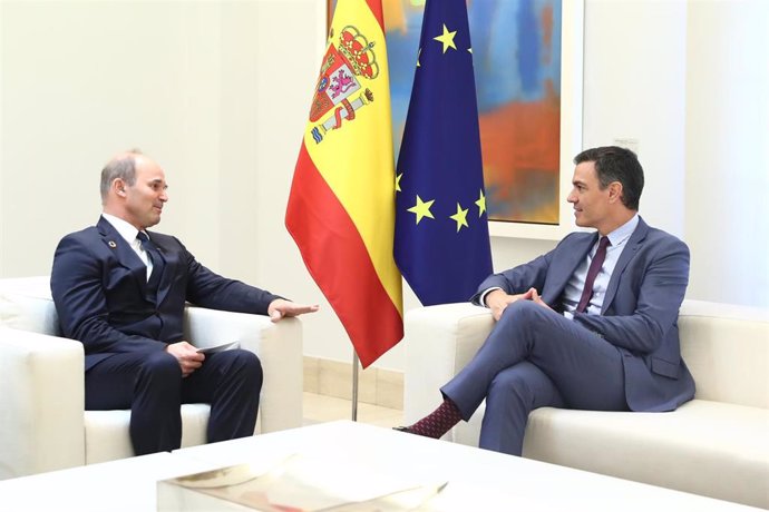 El presidente del Gobierno, Pedro Sánchez,  con el presidente y consejero delegado de BASF y del Consejo Europeo de la Industria Química (Cefic), Martin Brudermüller, en el Palacio de la Moncloa.