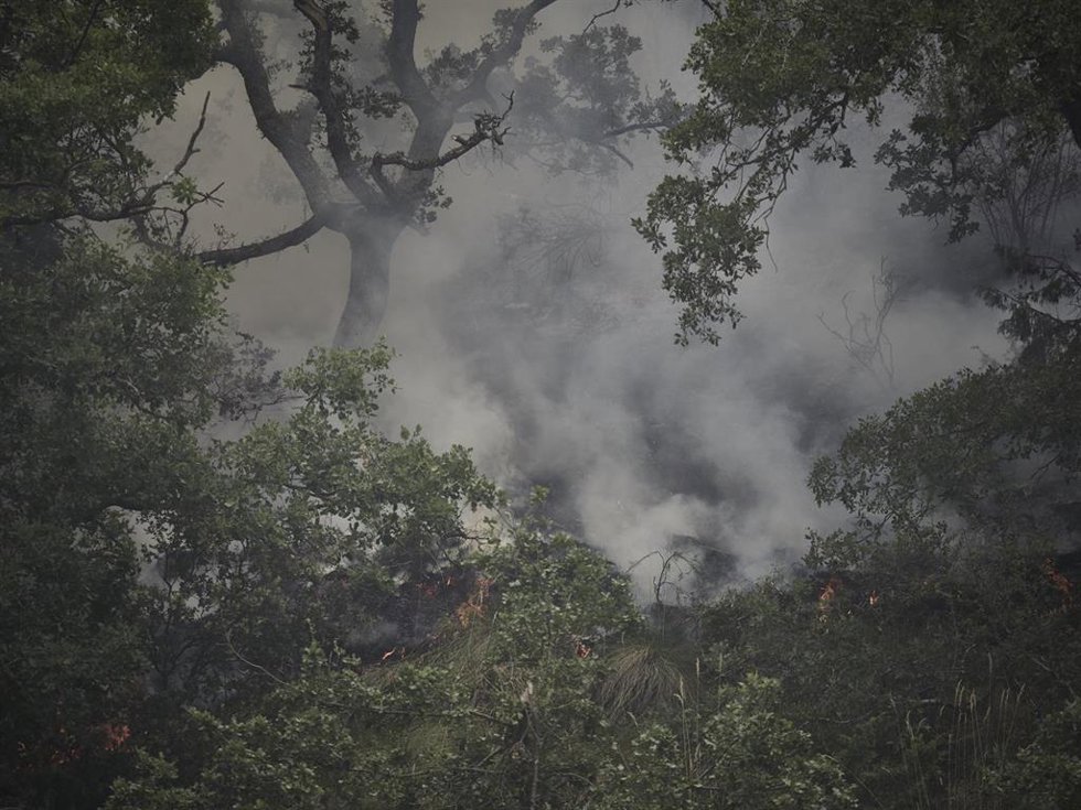 Paisaje arrasado por el incendio en Olleta en Olleta, Navarra