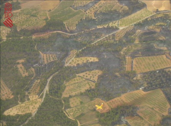 Zona del incendio tras la lluvia