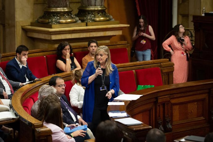 La consellera de Drets Socials de la Generalitat, Violant Cervera