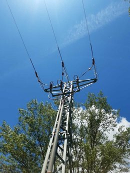 Imagen de archivo de una de las actuaciones para reducir la mortalidad de aves por electrocución
