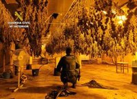 La Guardia Civil desmantela en Fortuna (Murcia) un grupo delictivo dedicado al cultivo de marihuana