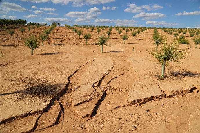 Archivo - Campos de cultivo del rea mediterrnia con suelo afectado por la erosión.