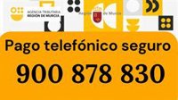 La Comunidad pone en marcha un sistema de pago telefónico seguro