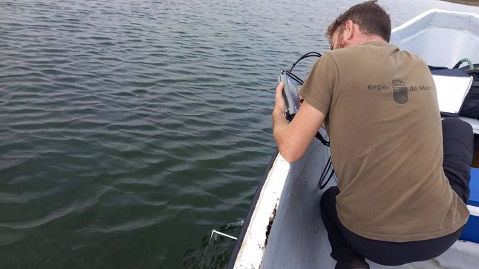 Un técnico del IMIDA toma muestras en el Mar Menor para analizar su nivel de oxígeno