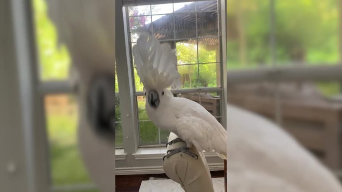 Así son los temporales que persigue y documenta este cazador de tormentas