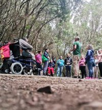 El Cabildo de Tenerife recoge en un manual pautas para diseñar proyectos de senderos accesibles