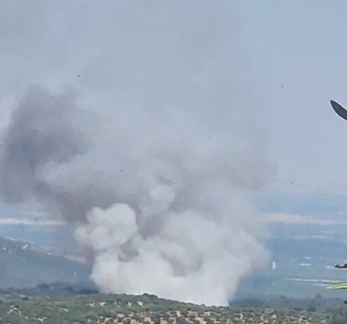 Incendio forestal declarado en La Puebla de los Infantes