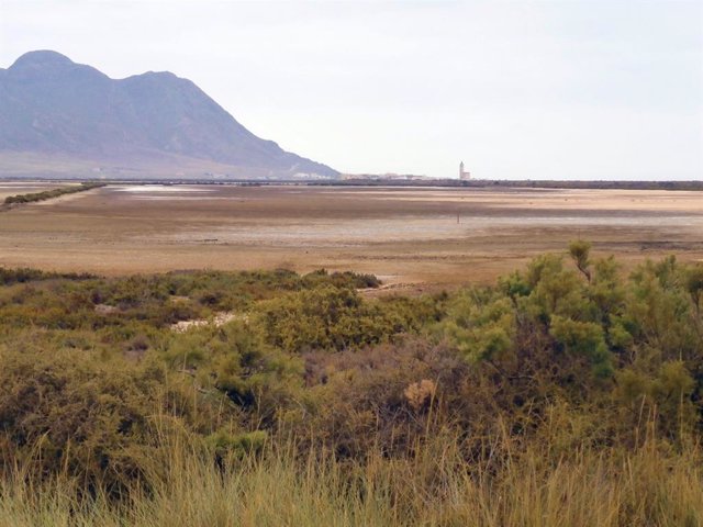 Vista actual de Las Salinas de Cabo de Gata desde el mirador ambiental junto a la carretera