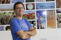 Una investigación de la UMU concluye que el polen genera una mayor agresividad del melanoma en peces cebra