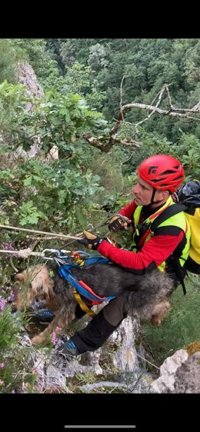 Los bomberos rescatan a un perro que estaba en una repisa de una pared vertical de 100 metros