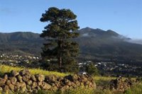 El Gobierno de Canarias destina 5,5 millones en ayudas para actuaciones en Reservas de la Biosfera