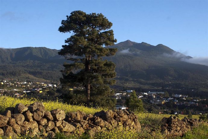 Archivo - Cambio climático.- El Gobierno de Canarias convoca más de 500.000 euros en subvenciones para las Reservas de la Biosfera