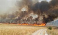 Protección Civil alerta por riesgo de incendio y por calor, que llegará hasta 40ºC en Andalucía, Extremadura y Canarias