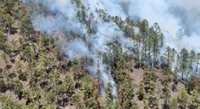 Canarias pide extremar la precaución para evitar incendios forestales ante la previsión de altas temperaturas