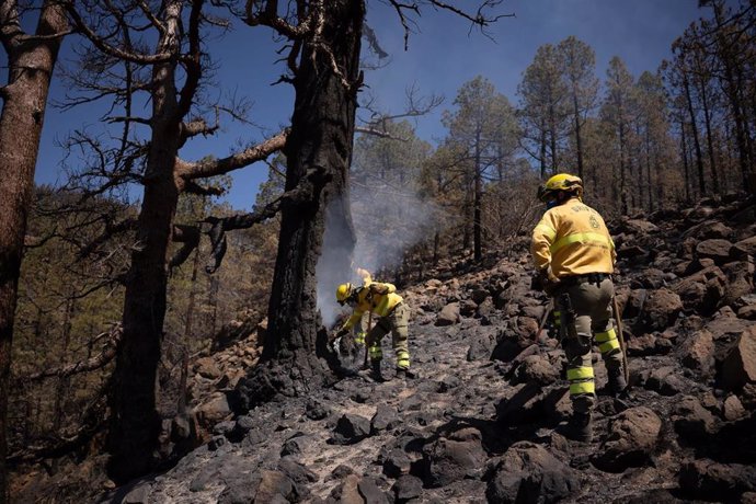 Archivo - Personal de las Brigadas Forestales del Cabildo (Brifor) trabajan en las labores de extinción del incendio de Arico