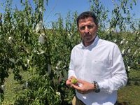 El PP reclama la declaración de zona catastrófica para los municipios turolenses afectados por los últimos temporales