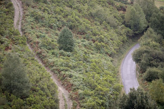 Archivo - Vista de la Serra do Oribio desde el Mirador da Penouta, a 1 de octubre de 2021, en Triacastela, Lugo, Galicia, (España). El Consejo Internacional de Coordinación del Programa Man and the Biosphere (MaB) de la Unesco aprobó este mes de septiem