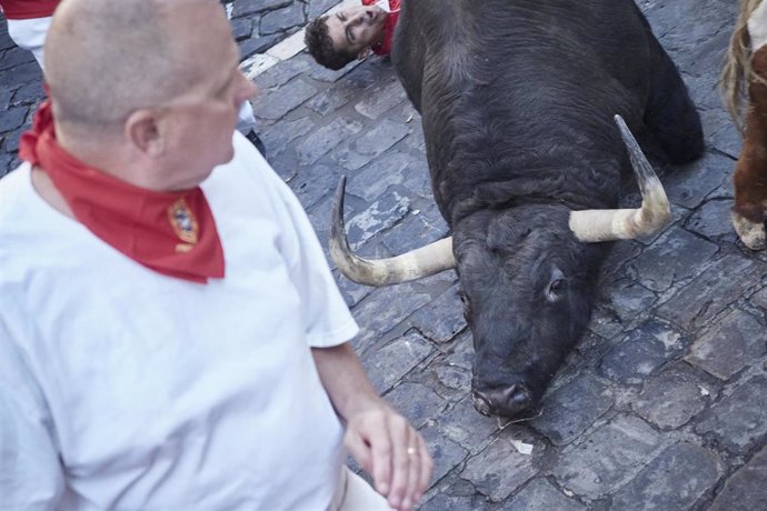 Un toro tropieza durante el segundo encierro de las fiestas de San Fermín 2022, protagonizado por la ganadería Fuente Ymbro.