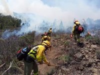 El Cabildo de Tenerife activa el máximo nivel de precaución por incendios forestales