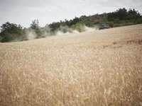C-LM pide extremar las precauciones en el medio natural ante la llegada de una larga ola de calor