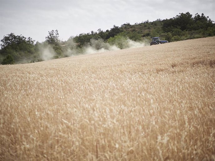 Un tractor.