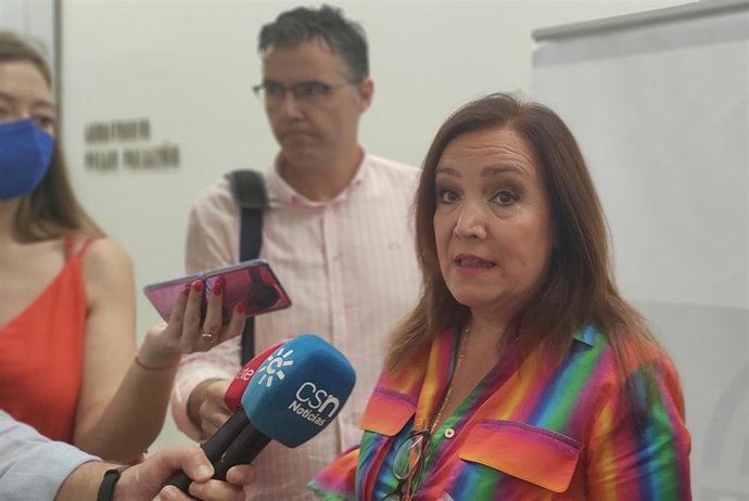 La subdelegada atiende a los periodistas antes del foro.