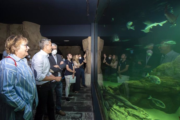 El Vicepresidente Y Consejero De Universidades, Igualdad, Cultura Y Deporte, Pablo Zuloaga, Asiste A La Entrega De Ejemplares De Tiburón Gris Procedentes Del LOceanographic De Valencia