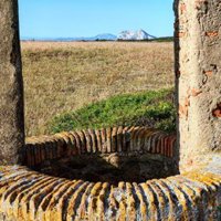 Verdemar pide a la Junta que apruebe de nuevo los Planes de Ordenación del Parque Natural de Los Alcornocales (Cádiz)
