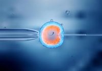 La inteligencia artificial mejora el estudio de los embriones en la fecundación 'in vitro'