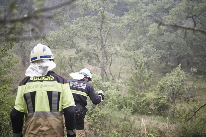 Bomberos de Euskadi trabajan en las labores de extinción del incendio en Olleta, a 21 de junio de 2022, en Olleta, Navarra (España). 