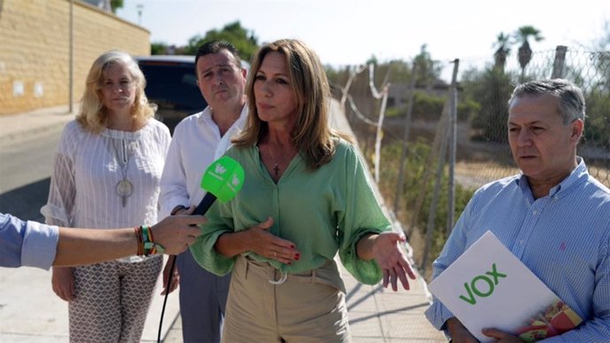 La diputada nacional de Vox por Sevilla, Reyes Romero, en una atención a medios.