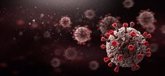 Foto: El sistema inmunitario utiliza la verificación en dos pasos para defenderse del VIH