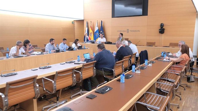 El presidente del Cabildo de Tenerife, Pedro Martín y el consejero de Transición Ecológica del Gobierno de Canarias, José Antonio Valbuena, en una reunión sobre proyectos medioambientales