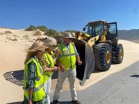 La Junta desarrolla trabajos de retirada de arena sobre la carretera A-2325 en Tarifa (Cádiz)