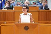 El PP critica que se va a dejar de prestar el servicio de hemodiálisis del Hospital Militar en verano