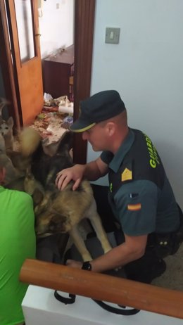 La Guardia Civil detuvo a dos vecinos de  Cedeira como supuestos autores de un delito de maltrato animal