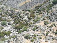 Auxiliada una mujer de 67 años con mareos cuando realizaba la ruta de la Garganta de la Berrocosa (Ávila)
