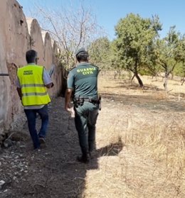 Inspección conjunta de Guardia Civil con Seguridad Alimentaria y el Servicio de Ganadería del Govern balear       