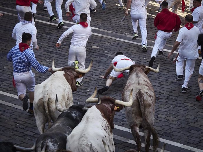 Cuarto encierro de las Fiestas de San Fermín 2022 de la ganadería de La Palmosilla, a 10 de julio de 2022, en Pamplona, Navarra (España).