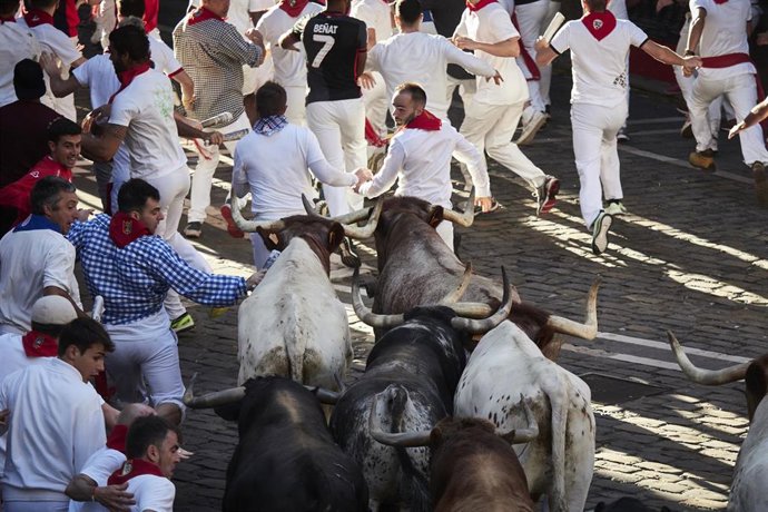 Cuarto encierro de las Fiestas de San Fermín 2022 de la ganadería de La Palmosilla, a 10 de julio de 2022, en Pamplona, Navarra (España).