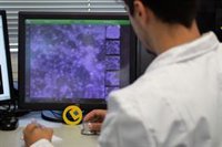 'ETNOMOPLAST', un nuevo sistema de reciclaje de envases con insectos para acelerar la degradación de plásticos