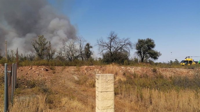 Incendio forestal en El Ronquillo