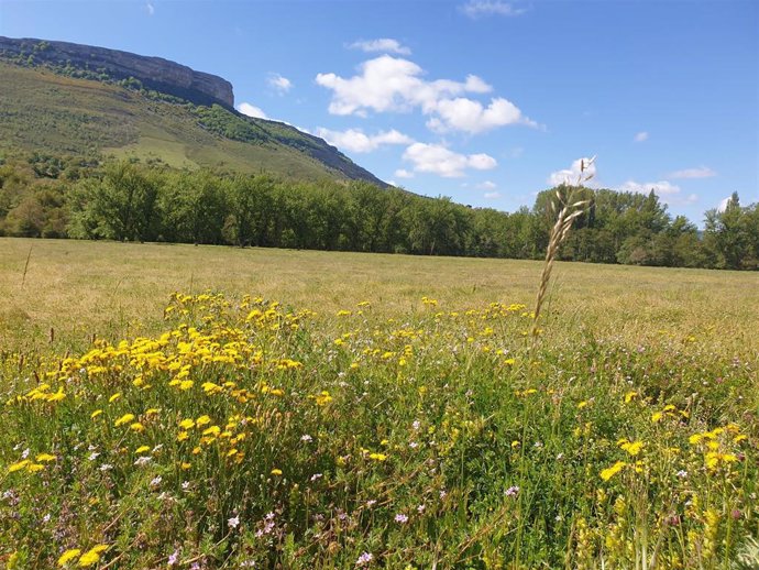 Archivo - Primavera en el sur de Cantabria